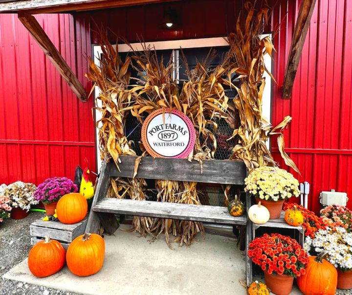 A festive sign with corn stalks and pumpkins reads Port Farms