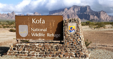 The Arizona Wildlife Refuge Worth Driving Across The State To Explore