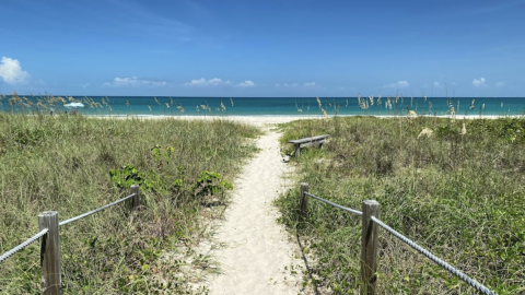 The Florida Park Worth Driving Across The State To Explore