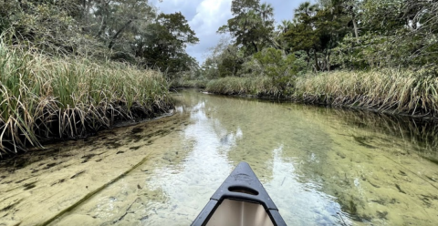 Take A Terrific Paddling Adventure At Chassahowitzka River Campground In Florida