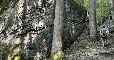 The Rugged And Remote Hiking Trail In Alabama That Is Well Worth The Effort