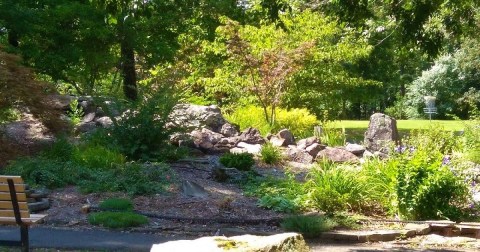 Explore A Little-Known Arboretum In This Small Arkansas Town
