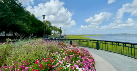 9 Glorious Waterfront Trails In South Carolina To Take On A Summer Day
