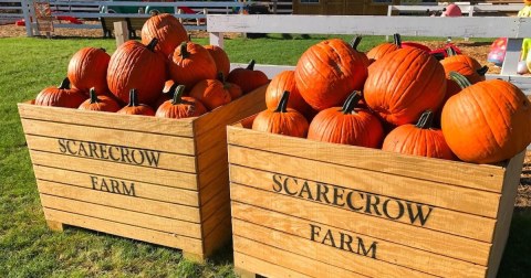 The Largest Pumpkin Patch In Iowa Is A Must-Visit Day Trip This Fall