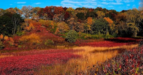 The 2.7-Mile Bluffside Trail Leads Hikers To The Most Spectacular Fall Foliage In Minnesota