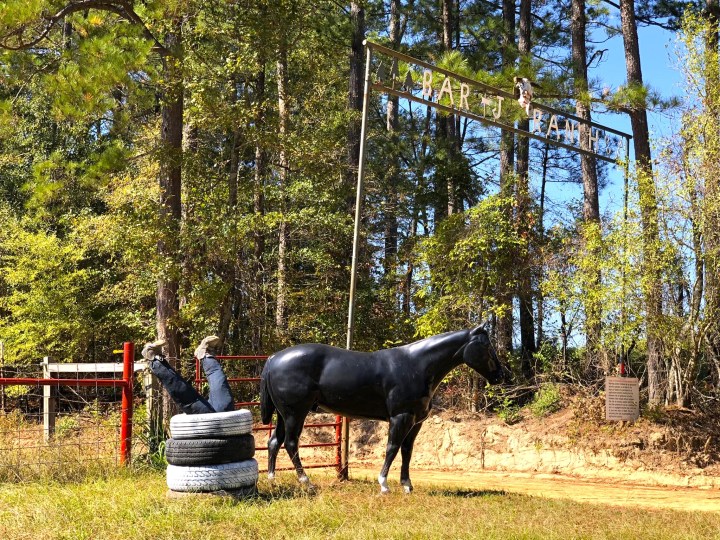 horse ranch in Arkansas