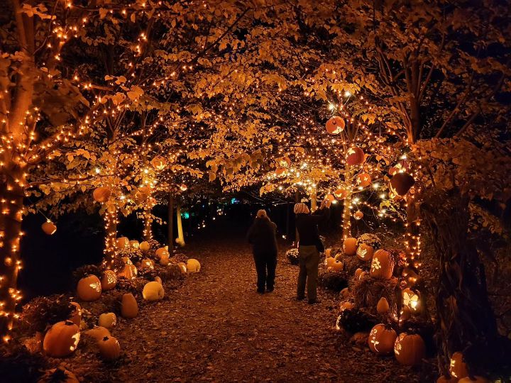 places to visit in massachusetts in the fall