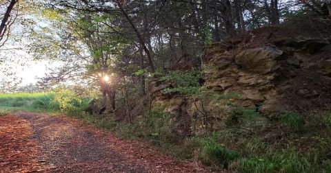 The 3.5-Mile Brandon Quarry Trail Might Just Be The Most Enchanting Hike In Mississippi
