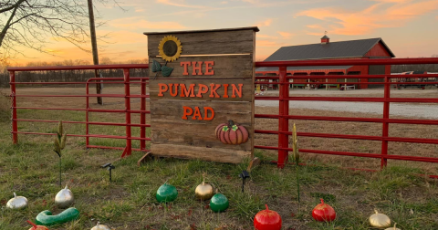 The Largest Pumpkin Patch In Missouri Is A Must-Visit Day Trip This Fall