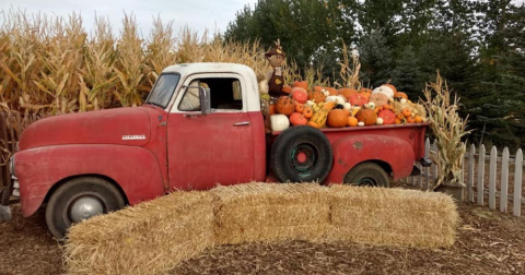 This Charming Pumpkin Patch In Idaho Is A Must-Visit Day Trip This Fall