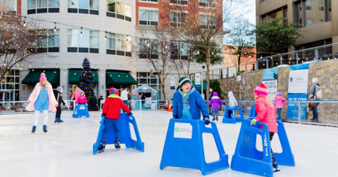 Your Ultimate Guide To Winter Attractions And Activities In South Carolina