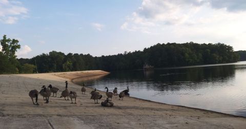 The Easy Trail That Might As Well Be The Bird Capital Of North Carolina