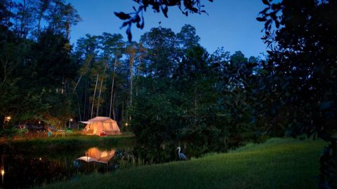 The Most Unique Campground In Florida That’s Pure Magic