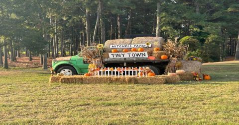 The 4 Best Fall Festivals In Mississippi For 2024 Will Put You In The Autumnal Spirit