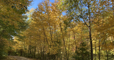 This Little-Known Scenic Spot In Rhode Island That Comes Alive With Color Come Fall