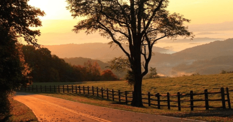 Enjoy A Scenic Drive Along Virginia's Most Beautiful Scenic Byway