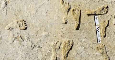 The Oldest Human Footprints In North America Were Discovered At White Sands National Park In New Mexico