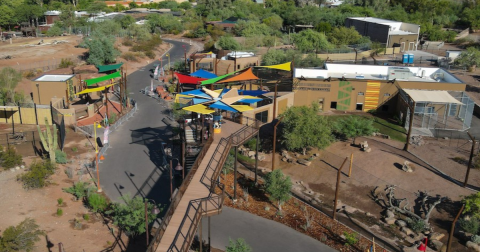 The Phoenix Zoo Just Opened A 6-Acre Expansion With Lions, Hyenas, A 20-Foot Viewing Tower, And More