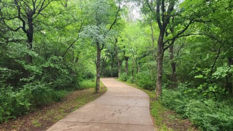 The Easy Trail That Might As Well Be The Wildflower Capital Of Texas