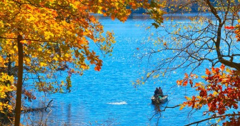 The Scenic State Park Where You Can View The Best Fall Foliage In Arkansas