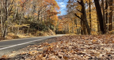 This Enchanting Scenic Drive In Tennessee Is One Of The Best Places To Enjoy Autumn