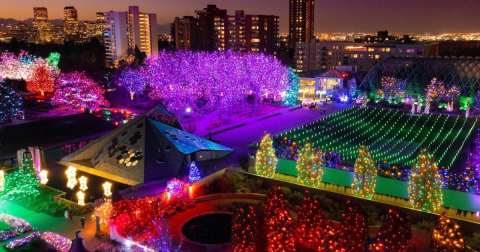 9 Christmas Light Displays In Colorado That Are Pure Holiday Magic