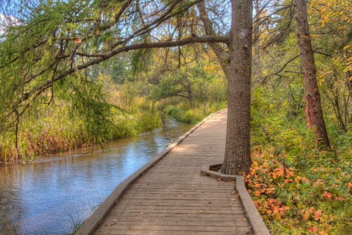 Itasca State Park contains the Headwaters of the Mississippi River and is located in northern Minnesota