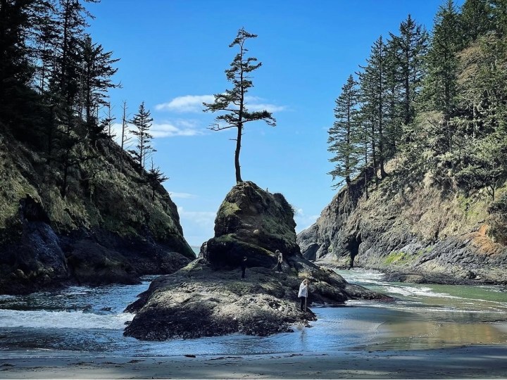 The 15 Best State Parks In Washington To Visit ASAP