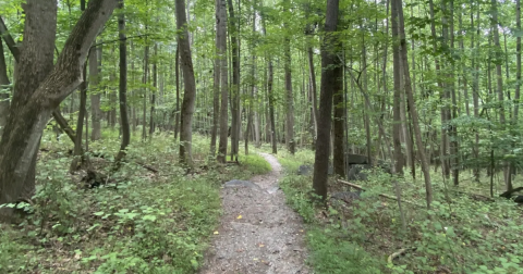 The Iconic Hiking Trail In Maryland Is One Of The Coolest Outdoor Adventures You’ll Ever Take
