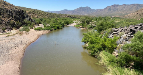 Enjoy A Secluded Hike On A Little-Known Path Along This Iconic Arizona River
