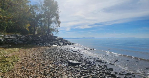 Enjoy A Secluded Stroll On A Magical Path Leading To The Chesapeake Bay