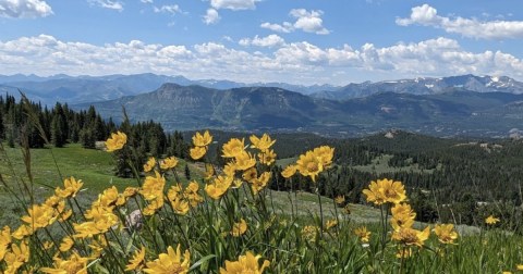Your Ultimate Guide To Summer Fun In Montana