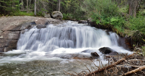 You’ll Fall In Love With The Tiny Waterfall Hiding Along This Breathtaking Colorado Trail