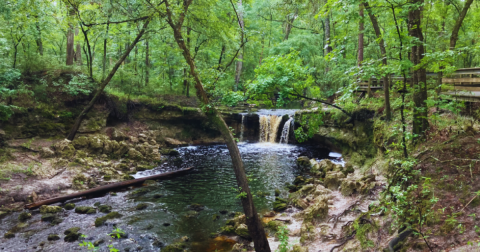 You’ll Fall In Love With The Tiny Waterfall Hiding Along This Breathtaking Florida Trail