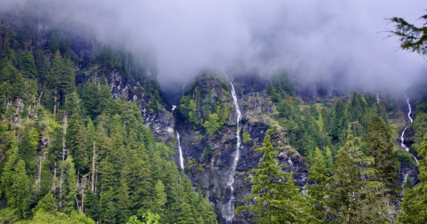 Encounter Not One But Tens Of Waterfalls In Washingtons's Enchanted Valley At Olympic National Park