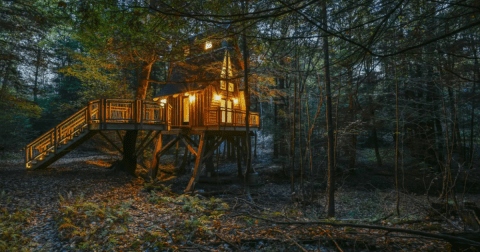 You’ll Never Go Back To Hotels After Staying The Night At This Enchanting Treehouse Airbnb