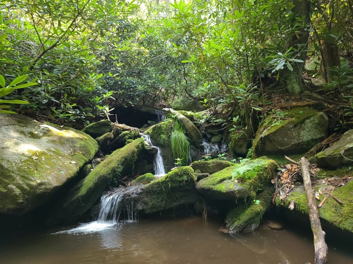 waterfall trail in North Carolina