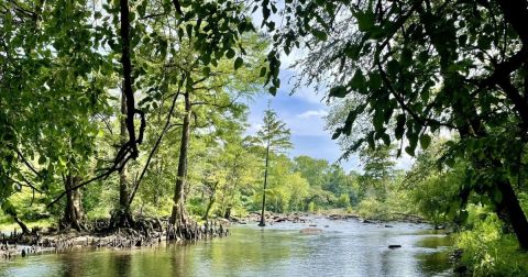 The Gorgeous Tar River Has One Of The Most Underrated Fishing Spots In North Carolina