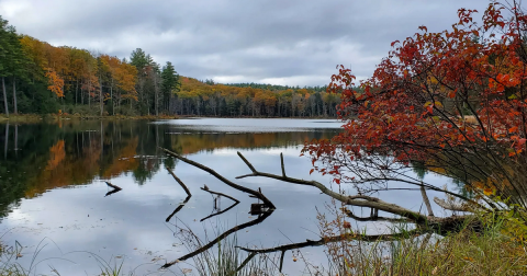 The Heald Tract Is A Hidden Pond Paradise In New Hampshire Worthy Of A Day Hike
