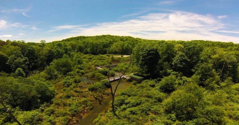 This West Virginia Birding And Nature Center Makes For The Perfect Unique Day Trip