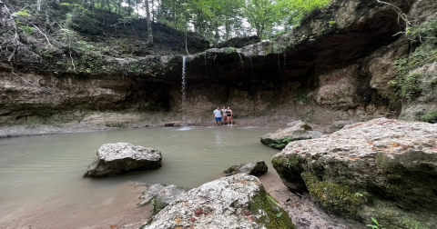 You’ll Fall In Love With The Tiny Waterfall Hiding Along This Breathtaking Mississippi Trail