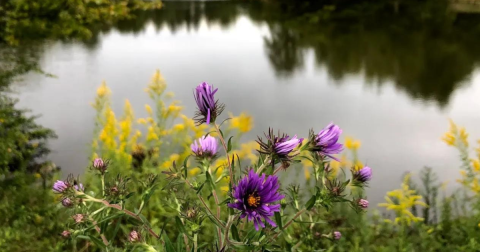 The Gorgeous, Little-Known Lake Is One Of The Most Underrated Fishing Spots In Greater Cleveland