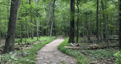 A Peaceful Escape Can Be Found Along The Annapolis Rocks Trail In Maryland