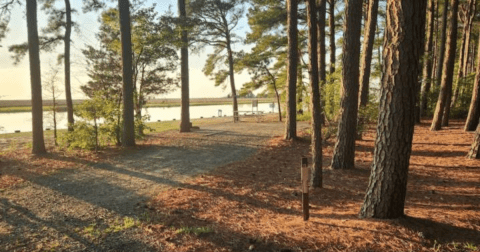 You’ll Never Forget Your Stay At Janes Island State Park, A Waterfront Campground In Maryland