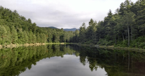 The Gorgeous, Little-Known Pond Is One Of The Most Underrated Fishing Spots In Virginia