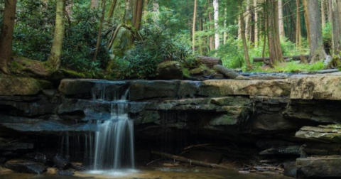 You’ll Fall In Love With The Tiny Waterfall Hiding Along This Breathtaking Maryland Trail