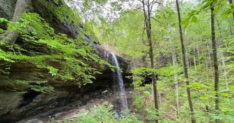 You’ll Fall In Love With The Tiny Waterfall Hiding Along This Breathtaking Alabama Trail