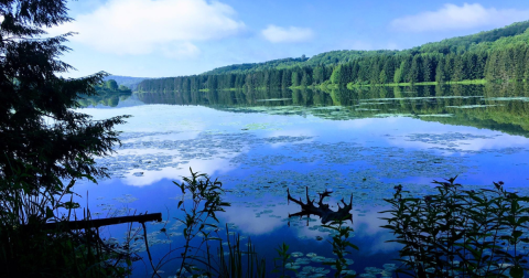 The Gorgeous, Little-Known Lake Is One Of The Most Underrated Fishing Spots In Pennsylvania