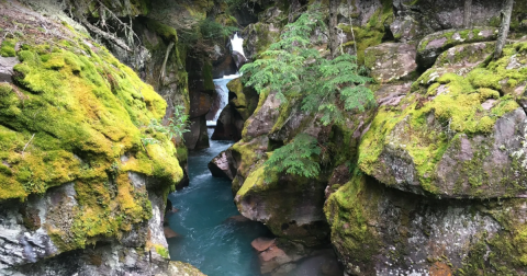 The Trail of the Cedars Is One Of The Best Waterfall Hikes In Montana