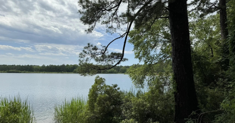 Explore This Secret Trail Around A Beautiful State Park Lake In Texas